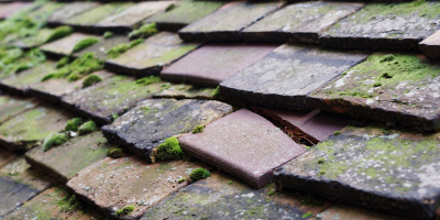 Llanddaniel roof repair costs